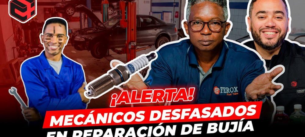 WhatsApp Image 2026-02-13 at 12.50.04 PM