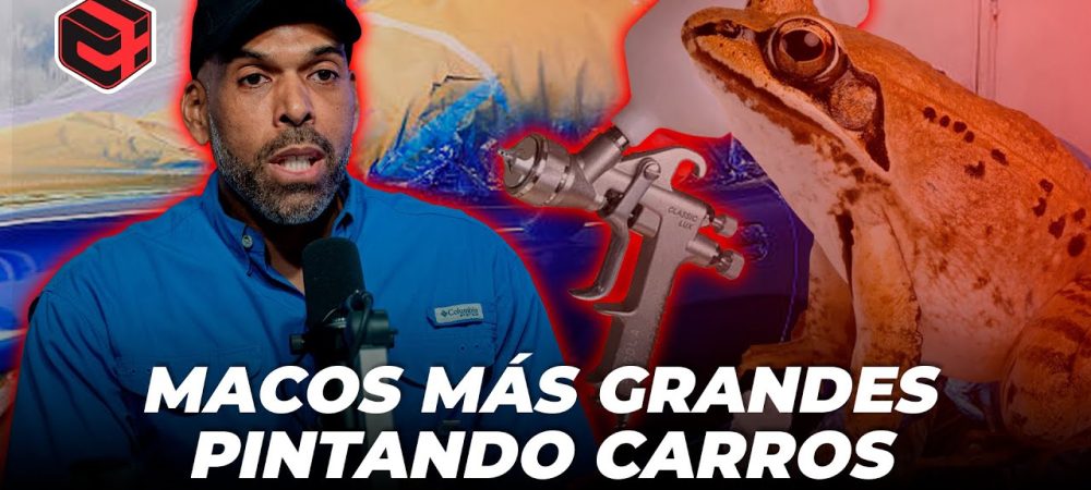 maxresdefault - 2026-03-13T175106.436